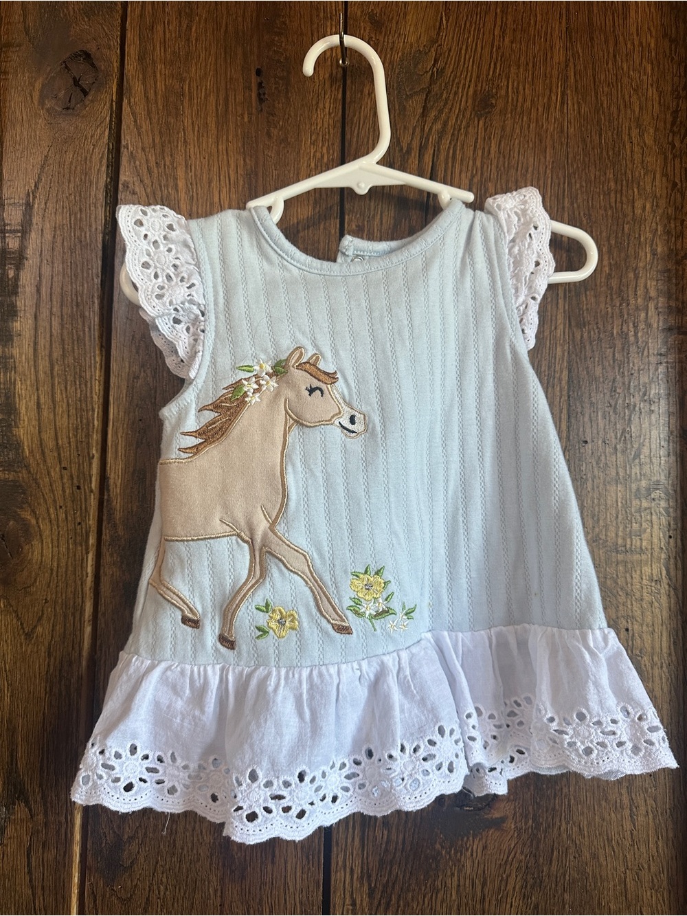Baby Girl Light Blue Dress with Horse Applique